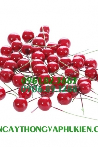 Quả cherry (20 quả/túi)